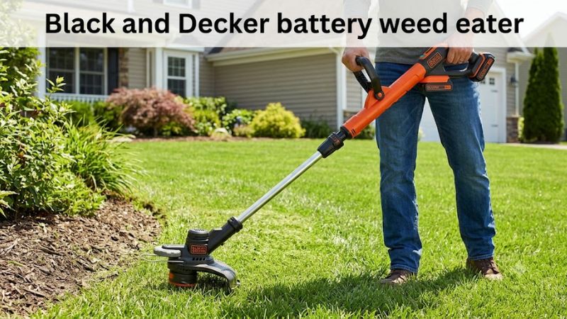 BLACK+DECKER Battery Weed Eater: How to Choose, Use, and Maintain One
